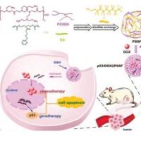 p53基因和阿霉素（DOX）-低分子量聚乙烯亚胺（PEI）基阳离子聚合物与全氟链通过二硫键结合的纳米复合物