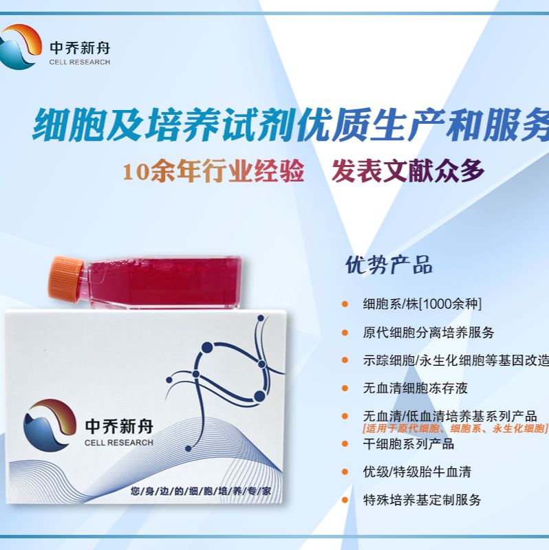 大鼠皮肤肥大细胞