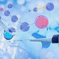 SK-CO-1人结直肠腺癌细胞