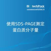 使用SDS-PAGE测定蛋白质分子量