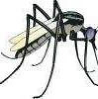 乙脑病毒IgG/IgM抗体快速检测试剂（金标法）说明书