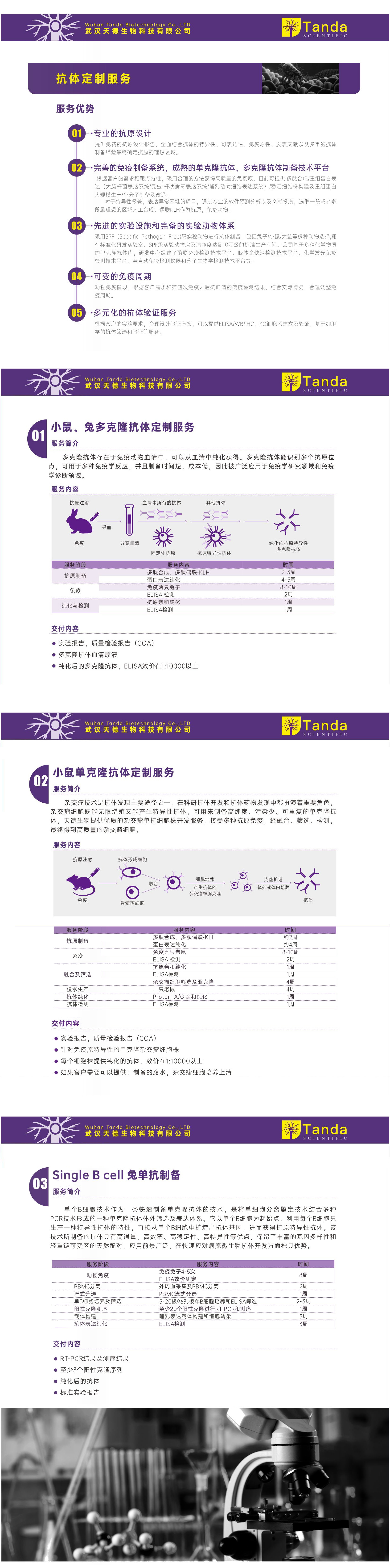 多克隆/单克隆抗体定制 TD-pAb/mAb