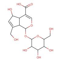 去乙酰基车叶草苷酸|14259-55-3|Deacetyl asperulosidic acid