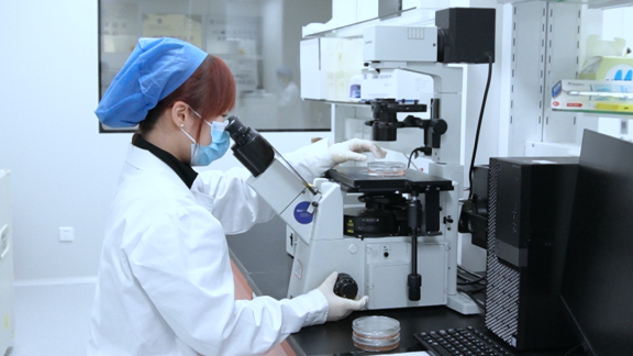 细胞视界 | 器官芯片探索新药研发的微观世界