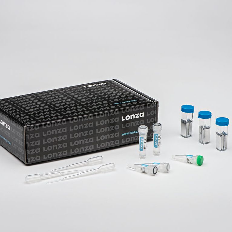 MEF Starter Nucleofector® Kit