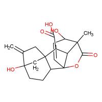 赤霉酸|77-06-5|GA3