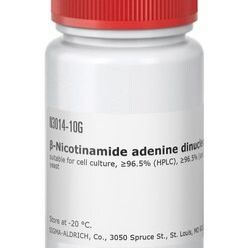 Sigma货号N3014-10g辅酶A(β-烟酰胺腺嘌呤二核苷酸水合物)13611631389上海睿安生物