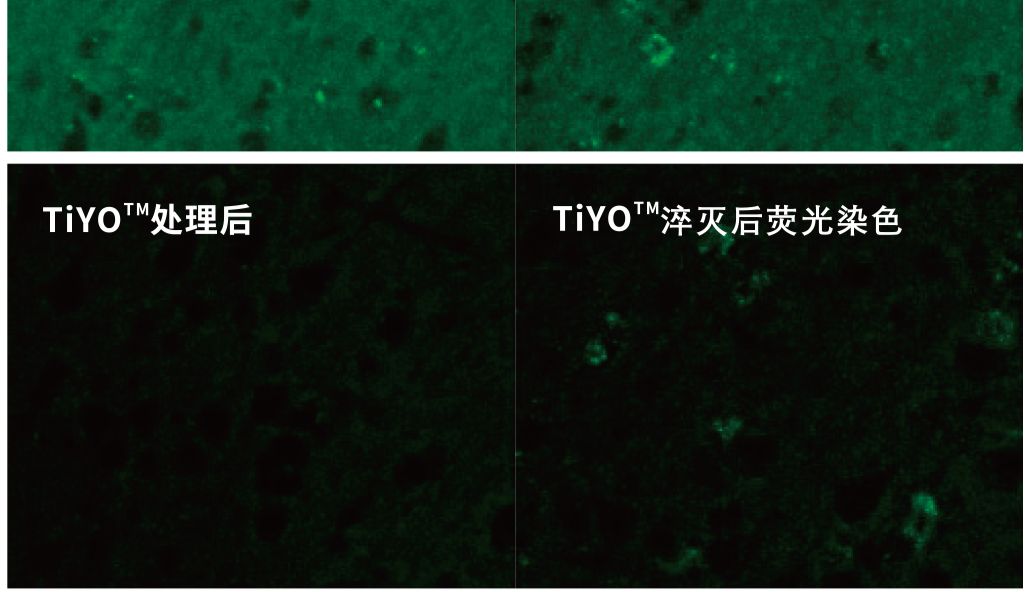关于消除生物样品自体荧光，您了解哪些？