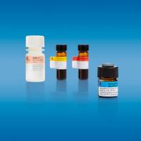 StraightFrom®脾脏（小鼠）磁珠试剂盒