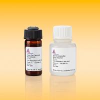 去死细胞试剂盒