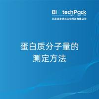 蛋白质分子量的测定方法-百泰派克生物科技