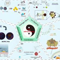 负载柔红霉素（daunorubicin）的纳米金属有机框架被曲妥珠单抗修饰