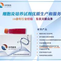 小鼠表皮角质形成细胞