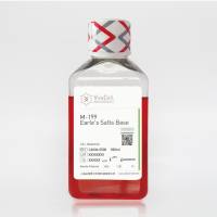M-199（Earle's, 含谷氨酰胺）