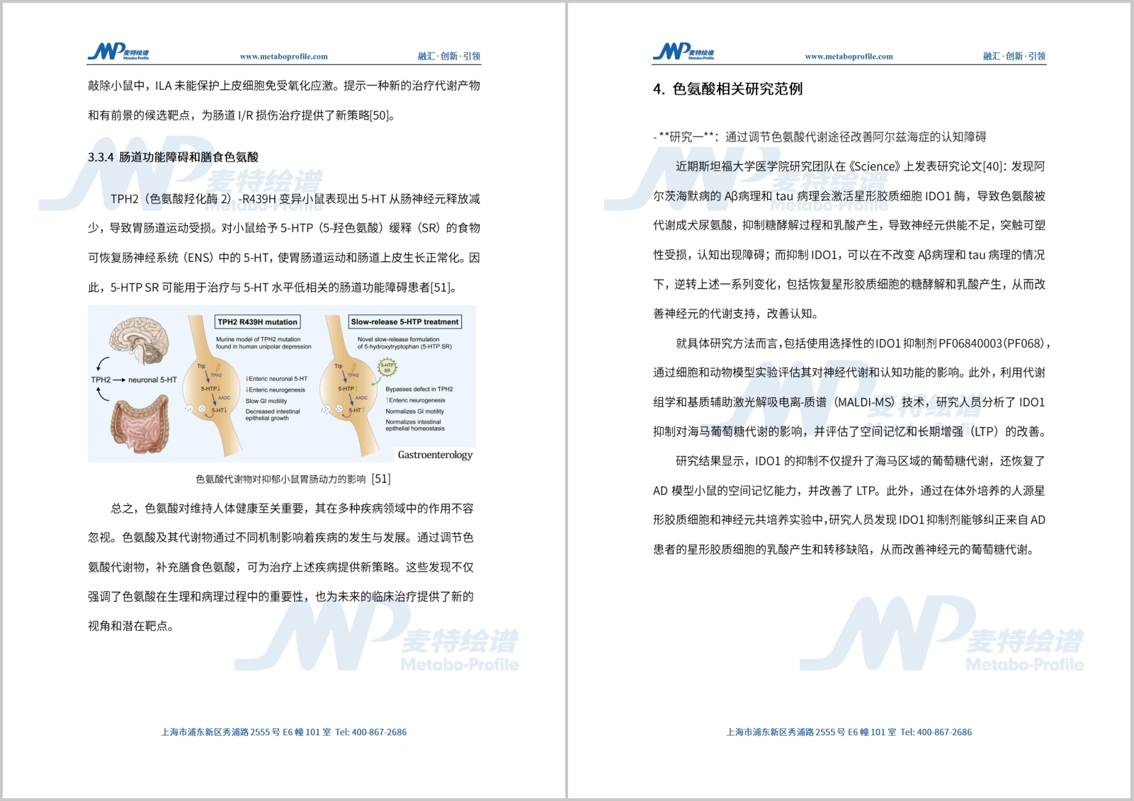 新闻图片4