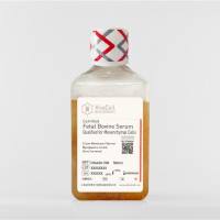 间充质干细胞专用胎牛血清