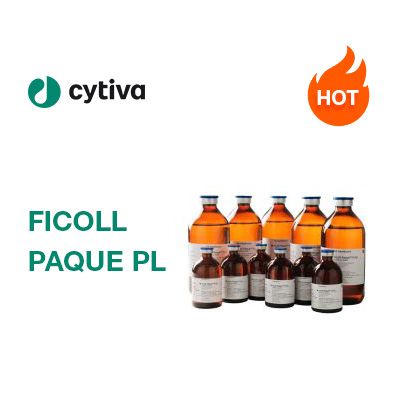FICOLL PAQUE PLUS 6X100 ML