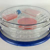 细胞高氧仓高氧培养装置细胞富氧实验