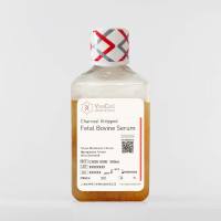 碳吸附胎牛血清
