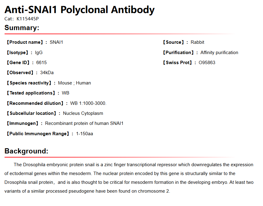 K115445P Anti-SNAI1 Polyclonal