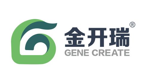 生物界的扛把子-外泌体为什么能火出圈？