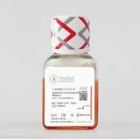 上皮细胞完全培养基