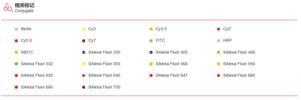 K115360P Anti-PLA2G12A Polyclo