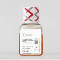 内皮细胞完全培养基