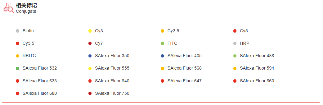 K115441P Anti-IP6K1 Polyclonal
