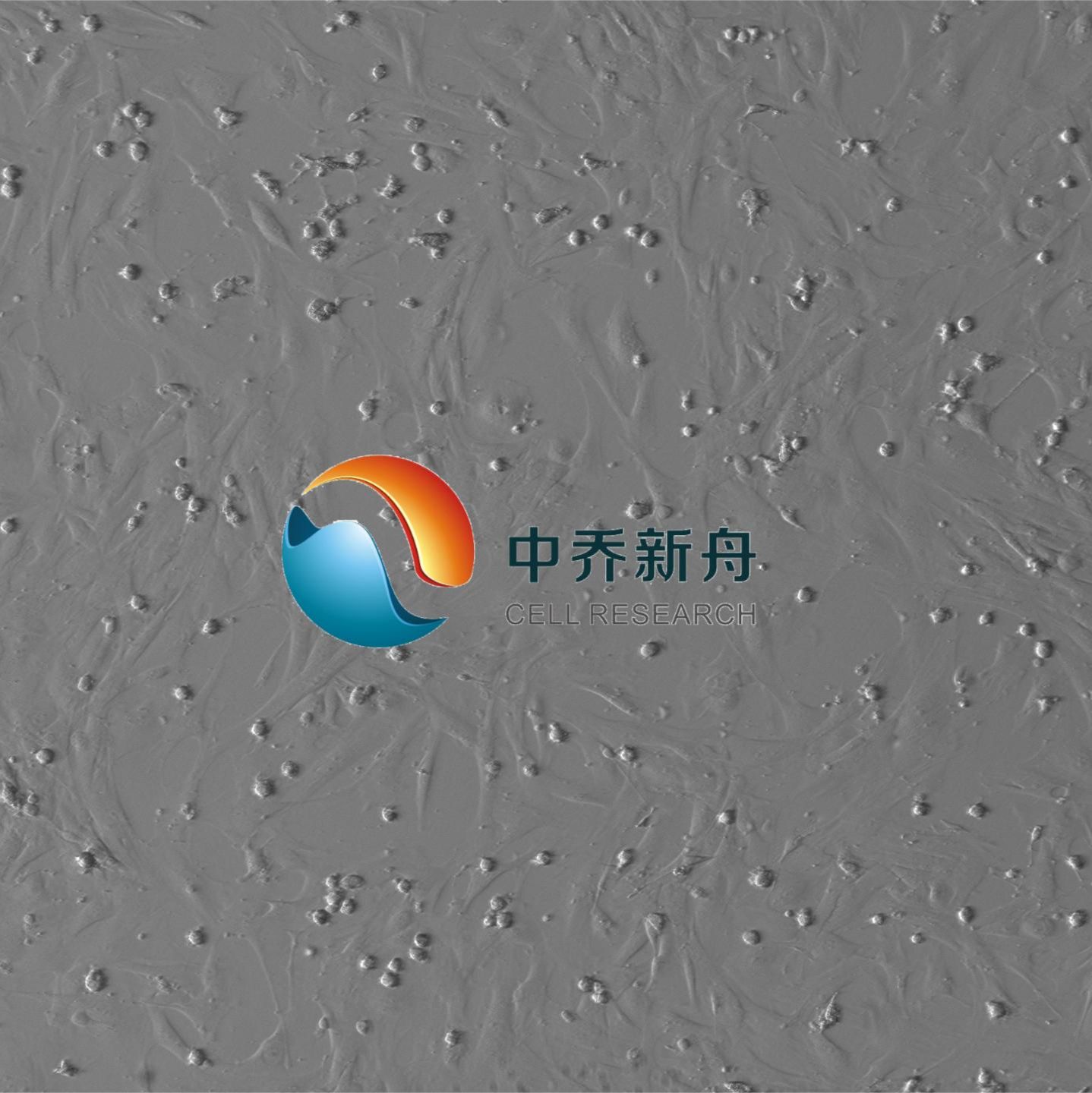 产品封面图