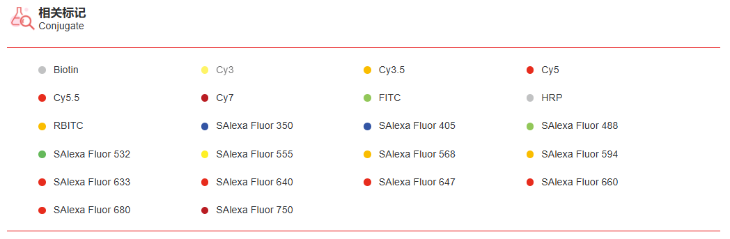 K115359P Anti-NUDT3 Polyclonal