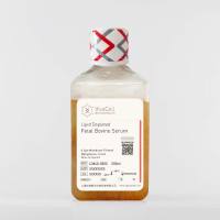 去脂胎牛血清