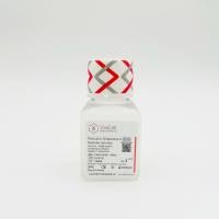 青链霉素，制真菌素三抗