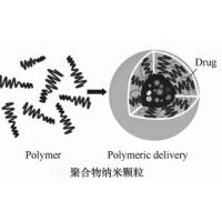 通过链间二硫键定向“点击”将F(ab)片段耦联叠氮化聚合物纳米颗粒负载喜树碱