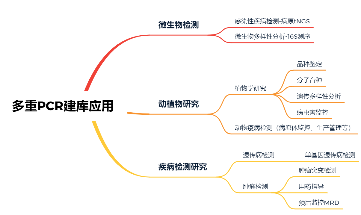 新闻图片4