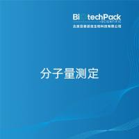 分子量测定-北京百泰派克生物科技