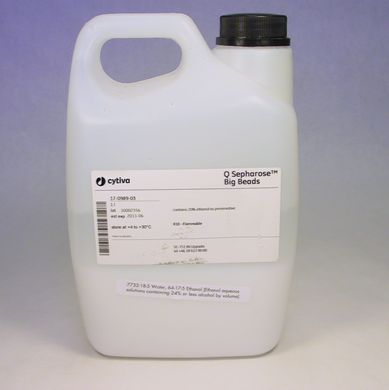 Q Sepharose™ Big Beads