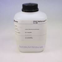 DEAE Sepharose™ CL-6B
