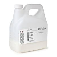 SP Sepharose™ Big Beads Food Grade