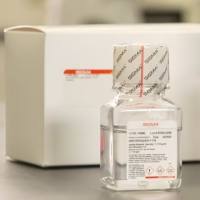 Sigma货号11191现货Histopaque即用型培养基13611631389上海睿安生物