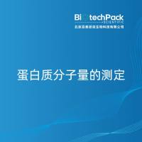 蛋白质分子量的测定-北京百泰派克生物科技