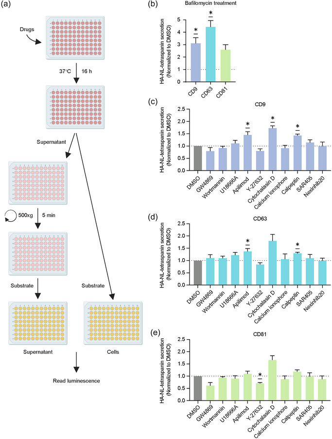 外泌体技术服务