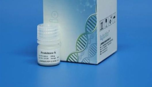蛋白酶K是什么？