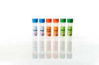 PeproTech重组人TNF-alpha(无动物成分) 10ug