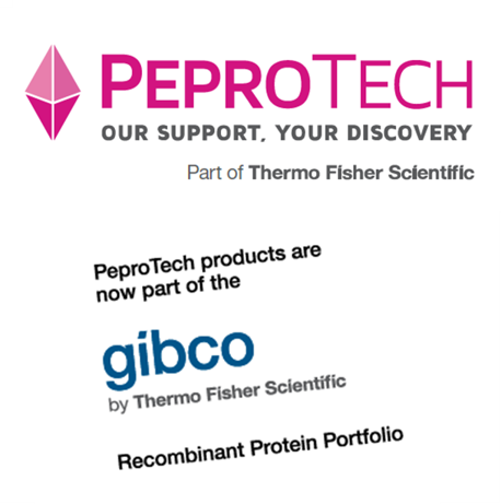 PeproTech兔抗人LIF多克隆抗体1000ug