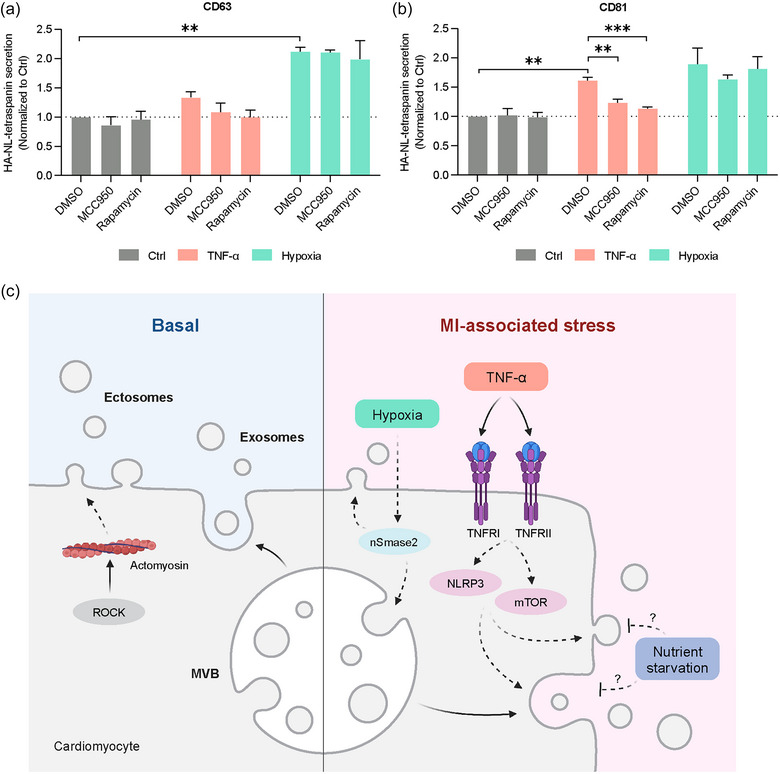 外泌体技术服务
