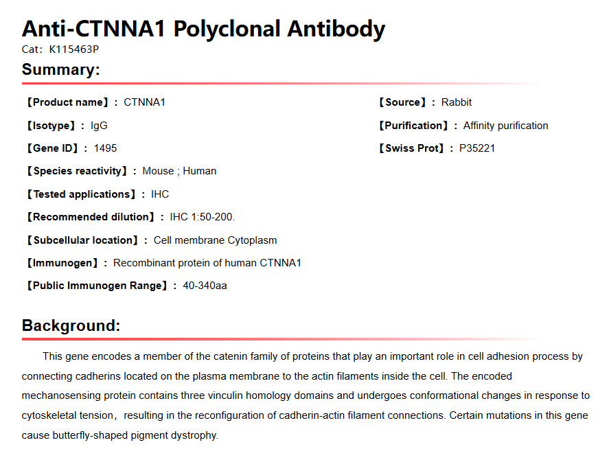 K115463P Anti-CTNNA1 Polyclona
