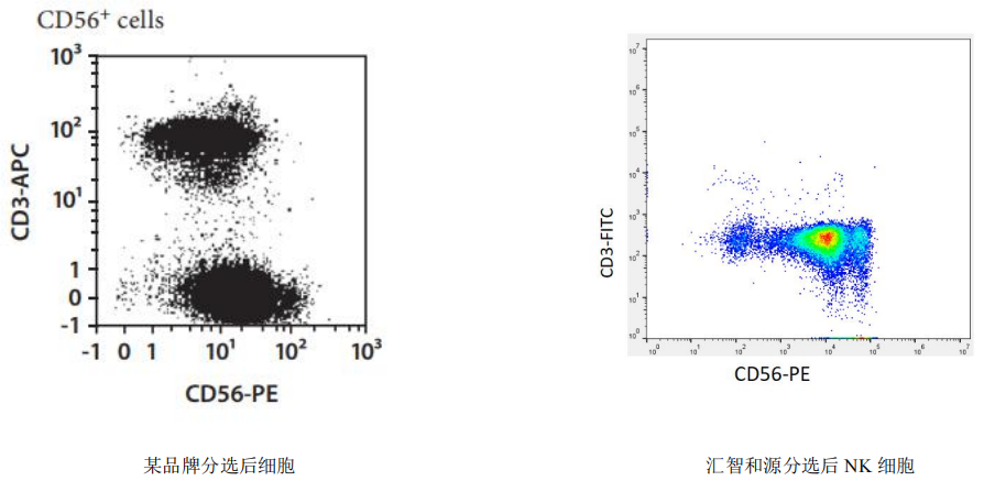 小鼠CD56+NK细胞 CD56+NK Cells