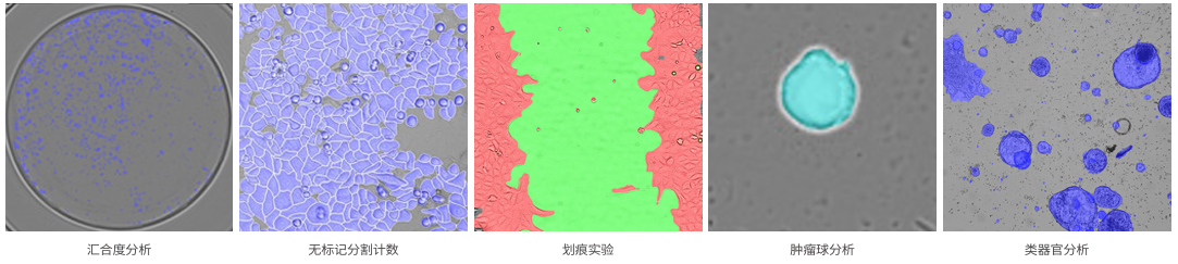 Countstar Spica实时智能活细胞成像分析系统