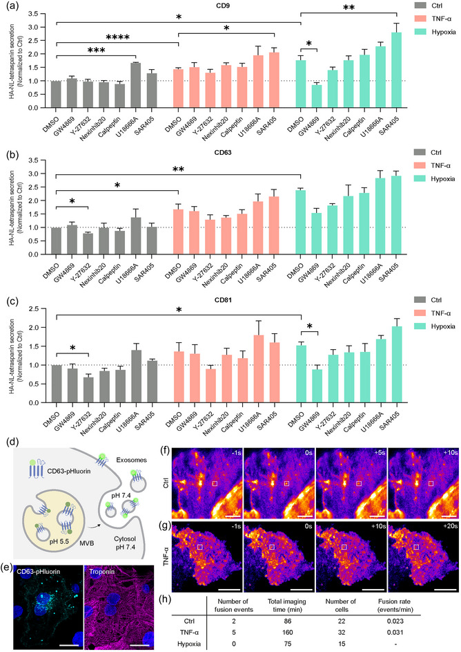 外泌体技术服务